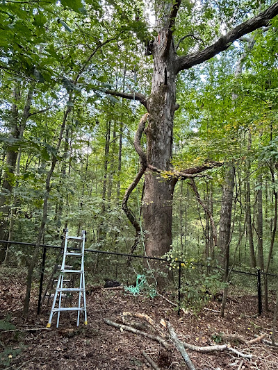 Interactions between animals and their environments