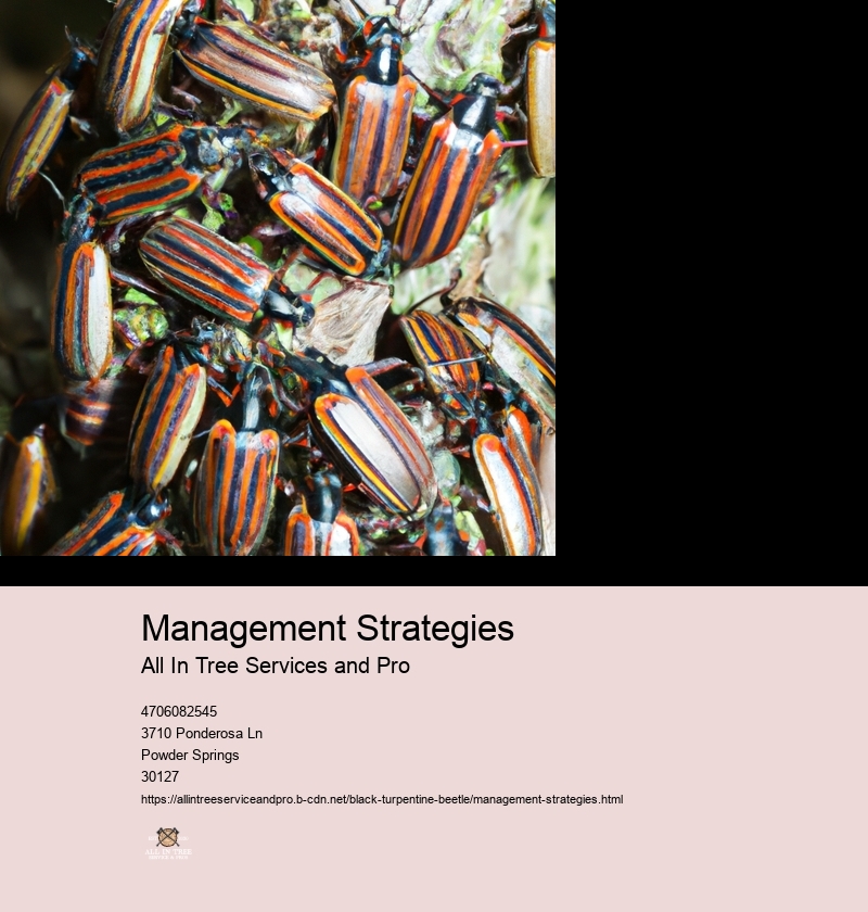 Management Strategies
