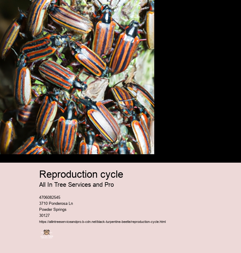 Reproduction cycle
