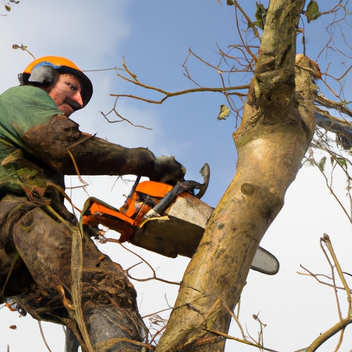 What is the Importance of Emergency Tree Removal Services?