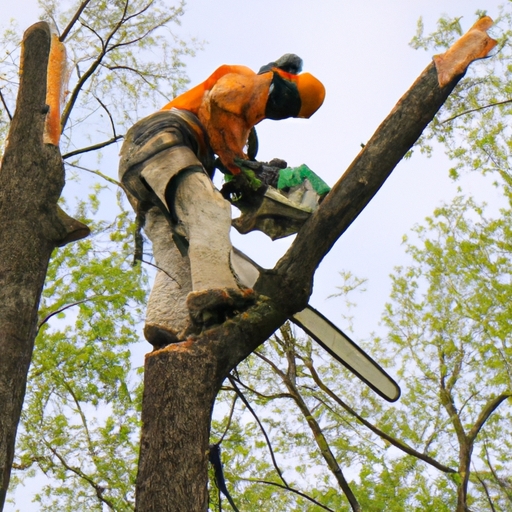 Importance of emergency tree removal in preventing property damage and injuries