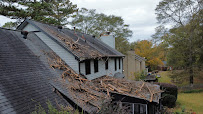 Discover the Quick and Easy Way to Get Rid of Hazardous Trees Today