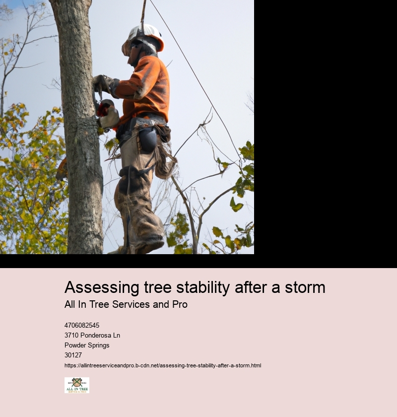 Assessing tree stability after a storm