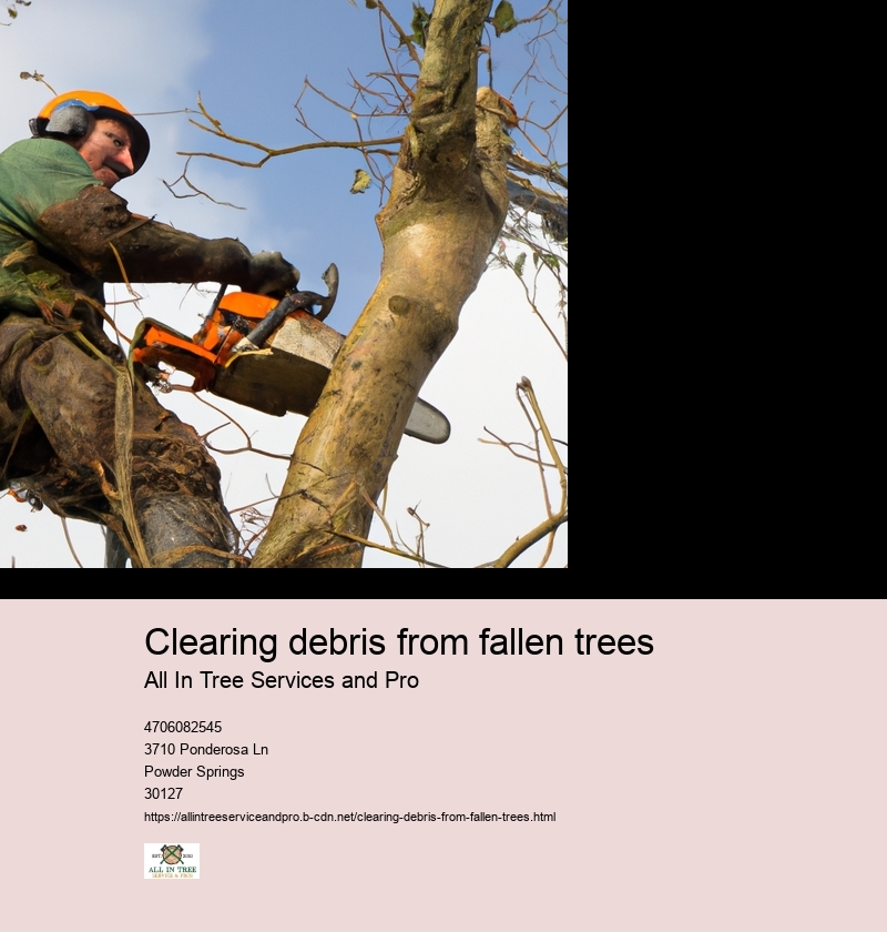Clearing debris from fallen trees
