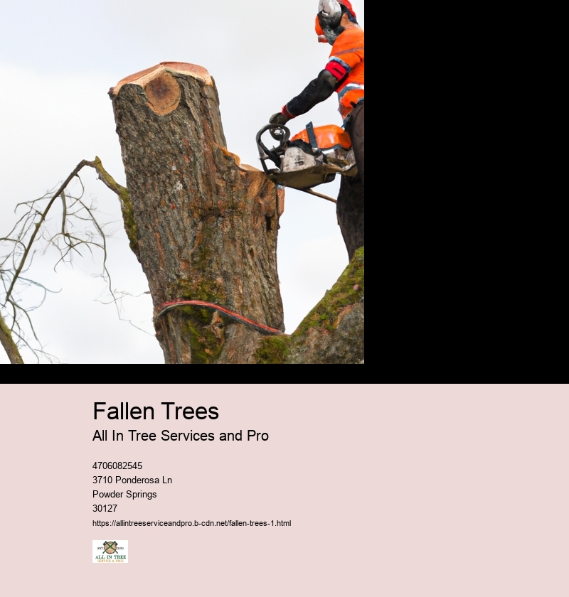 Fallen Trees