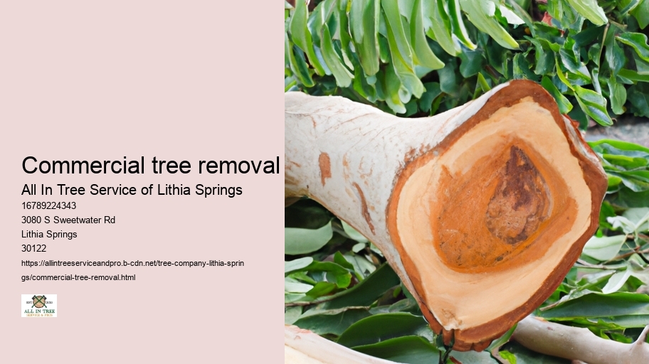 Commercial tree removal