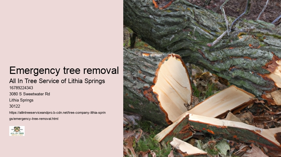 Emergency tree removal