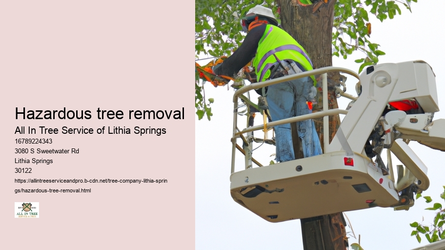 Hazardous tree removal