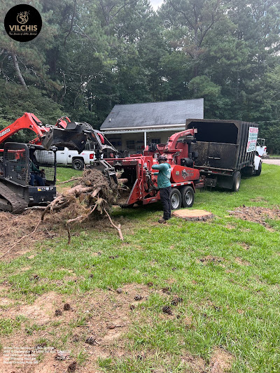 Steps involved in the tree removal process