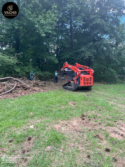 Contact information for Tree Company Lithia Springs