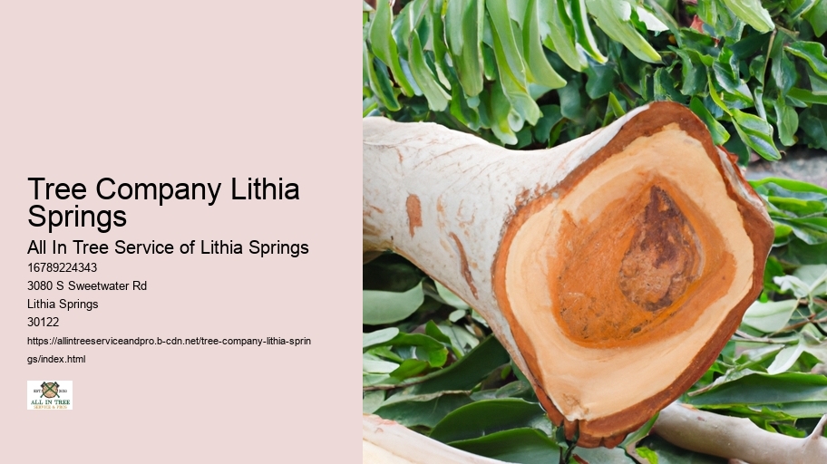 Tree Company Lithia Springs