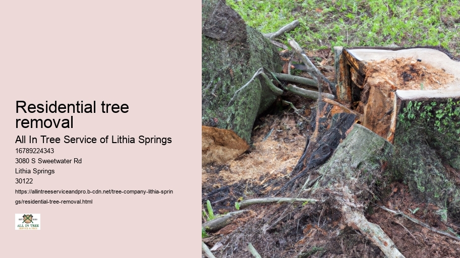 Residential tree removal