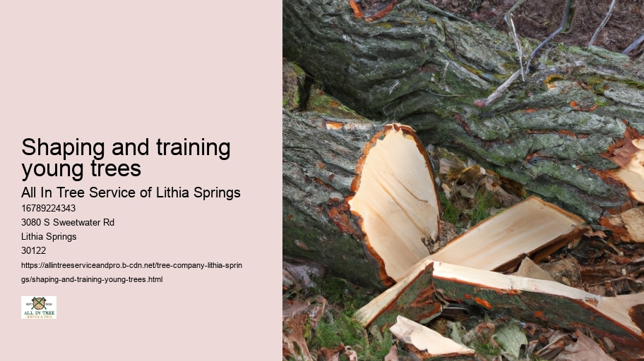 Shaping and training young trees