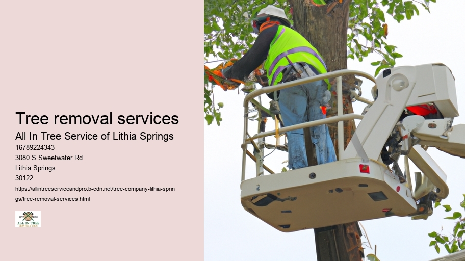 Tree removal services