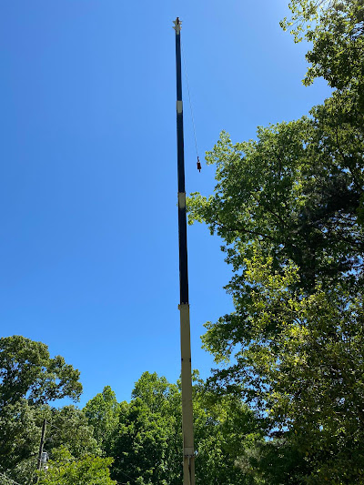Benefits of hiring a professional tree company